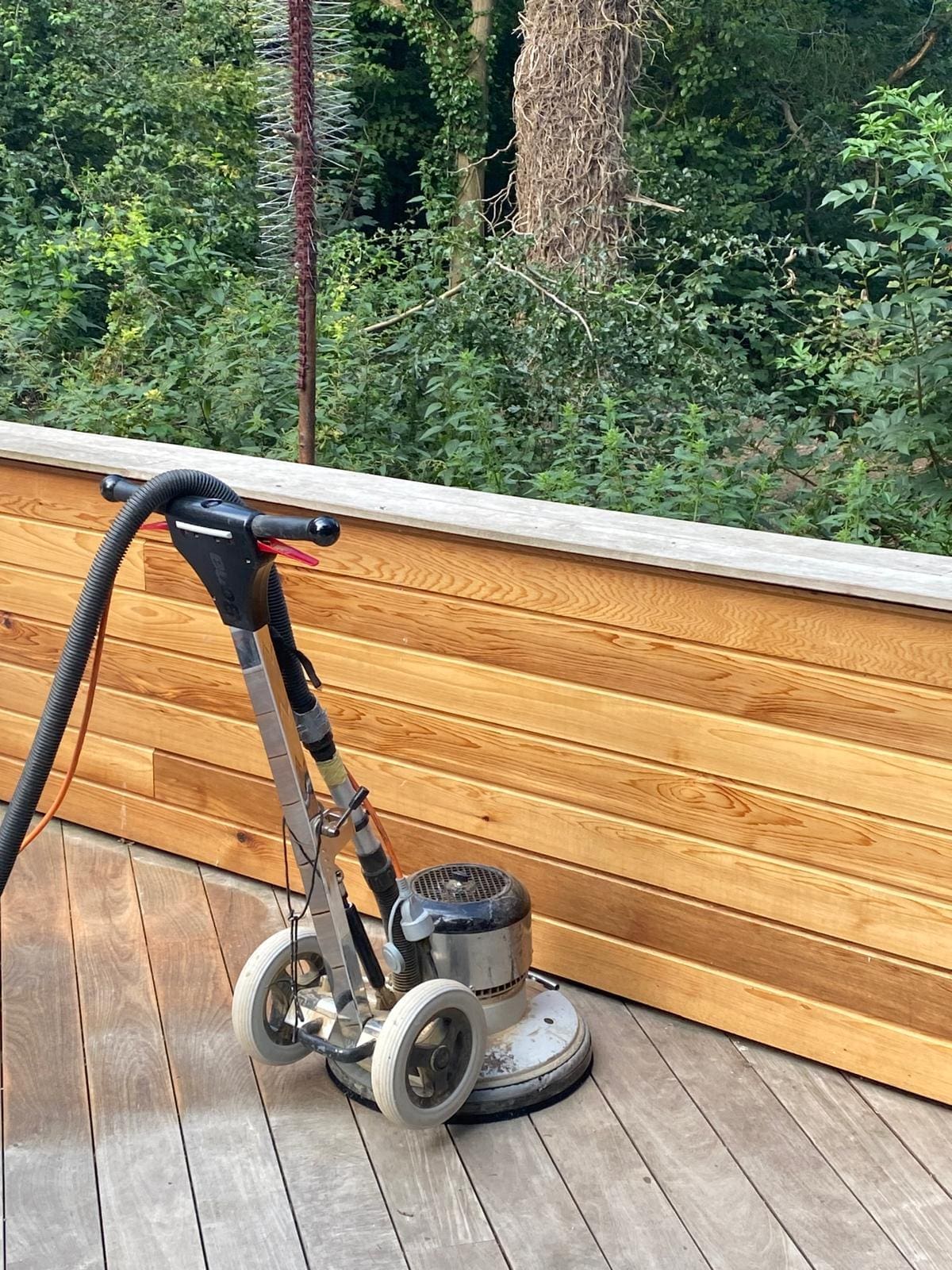 WhatsApp Image 2024-09-13 at 15.04.24_0e6eaf94 garden deck sanding picture
